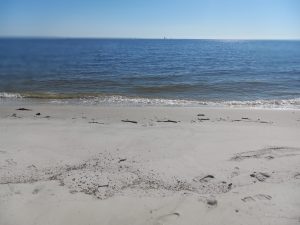 Dauphin Island Beach